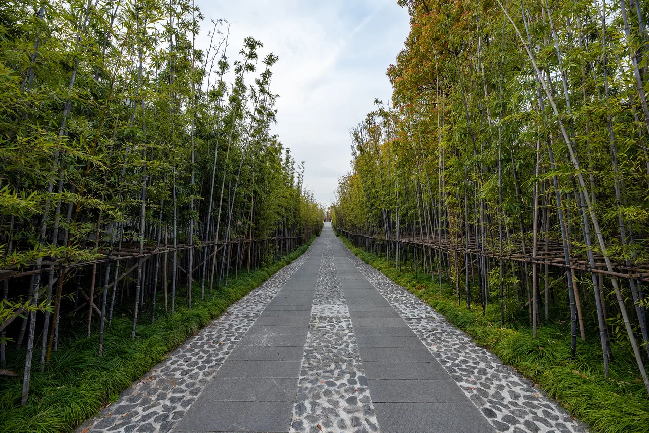 Amanyangyun